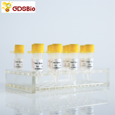 Đầu dò GDSBio HS QPCR Hỗn hợp PCR thời gian thực P2201 P2202