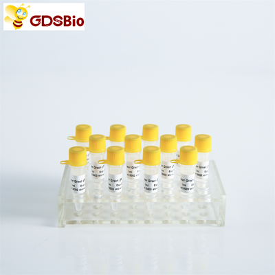 GDSBio Power Green Master Mixture cho PCR với ROX P2101c P2102c
