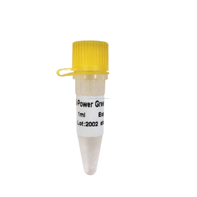 GDSBio Power Green Master Mixture cho PCR với ROX P2101c P2102c