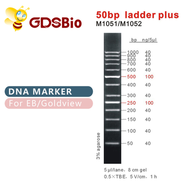 Dấu DNA Ladder Plus 50bp M1051 (50μg)/M1052 (50μg×5)