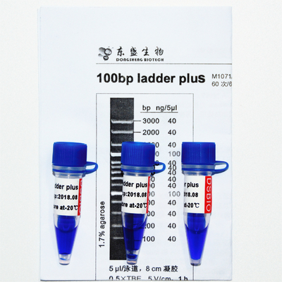 Dấu DNA Ladder Plus 100bp M1071 (50μg)/M1072 (50μg×5)