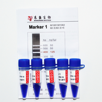 Marker 1 thang DNA M1081 (50μg)/M1082 (50μg×5)