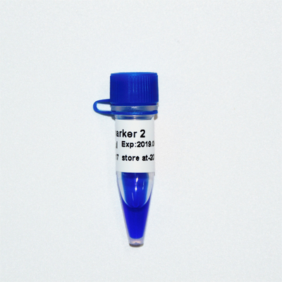 Marker 2 Thang DNA M1091 ​​(50μg)/M1092 (50μg×5)