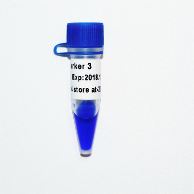 Marker 3 Thang DNA M1121 (50μg)/M1122 (5×50μg)