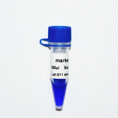 Marker 11 Thang DNA M1131 (50μg)/M1132 (5×50μg)