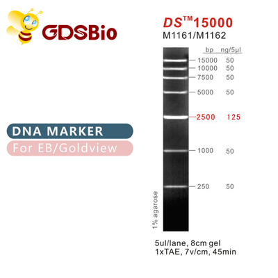 Thang đánh dấu DNA DS15000 M1161 (50μg)/M1162 (5×50μg)