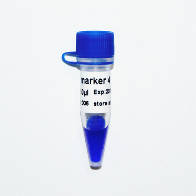 Marker 4 Thang DNA M1231 (50μg)/M1232 (5×50μg)