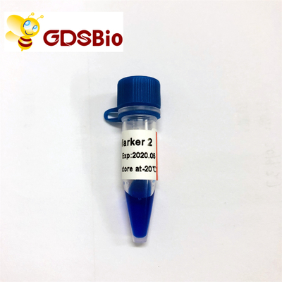 LD Marker 2 60 Preps DNA Marker Điện di GDSBio