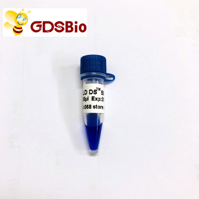 GDSBio LD DS 5000 DNA Marker Điện di Màu xanh Xuất hiện