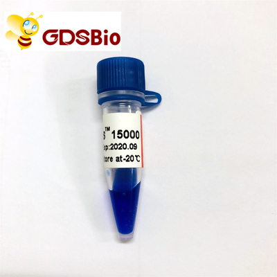 LD DS 15000bp Thang đánh dấu DNA 15kb LM1161 (50 lần chuẩn bị)/LM1162 (50 lần chuẩn bị×5)