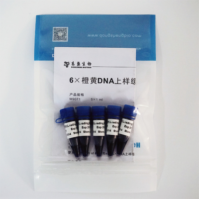 Thuốc nhuộm tải gel 6 × Bộ đệm điện di DNA ba màu 1mlx5