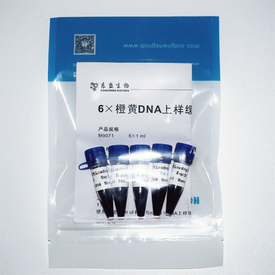 Thuốc nhuộm tải gel 6 × Bộ đệm điện di DNA ba màu 1mlx5