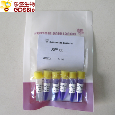 FS PCR Master Mix PCR Kit để phát hiện axit nucleic DNA RNA P3072 1ml × 5