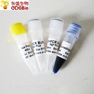Bộ đệm màu xanh Taq Plus DNA polymerase cho PCR P1031 P1032 P1033 P1034