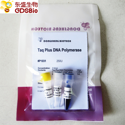 Bộ đệm màu xanh Taq Plus DNA polymerase cho PCR P1031 P1032 P1033 P1034