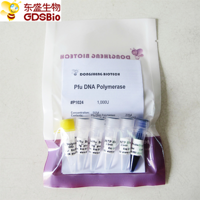 Pfu DNA polymerase cho PCR P1021 P1022 P1023 P1024
