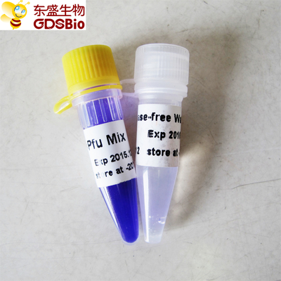 Phát hiện PCR DNA RNA Axit nucleic Pfu PCR Master Mix P2021 1ml