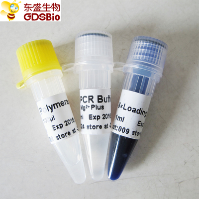 Taq DNA Polymerase P1011 500U PCR Master Mix Buffer Blue
