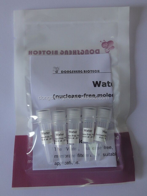 100ml PCR cấp sinh học phân tử Master Mix P9022 Water Nuclease Free PCR