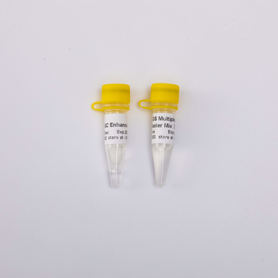 40/400/2000 Phản ứng 2X NGS Multi Plex PCR NM1001 NM1002 NM1003