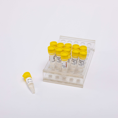40/400/2000 Phản ứng 2X NGS Multi Plex PCR NM1001 NM1002 NM1003