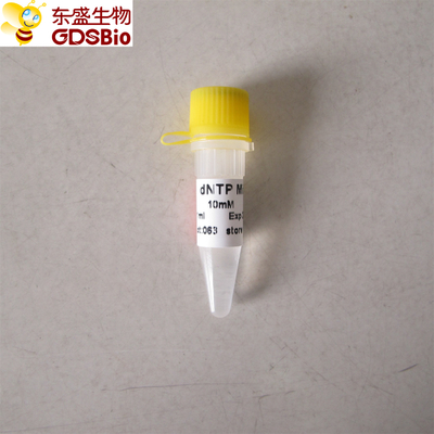 dNTP Mix cho PCR qPCR P9013 1ml