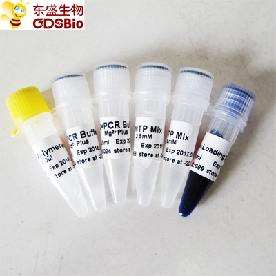 GDSBio Taq DNA polymerase cho PCR Master Mix