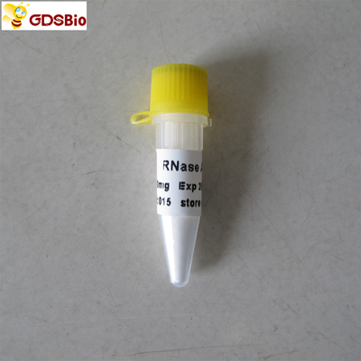 N9046 100 mg Sản phẩm chẩn đoán trong ống nghiệm RNase A Powder