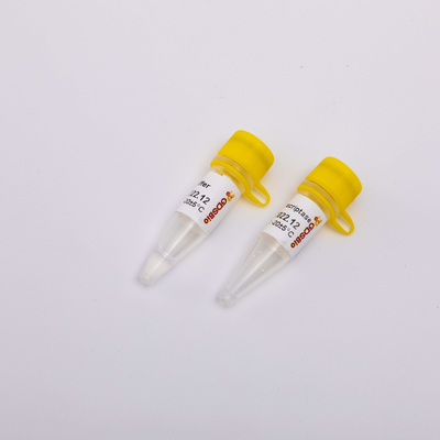 Thuốc thử PCR phiên mã ngược vàng R3001 2000U