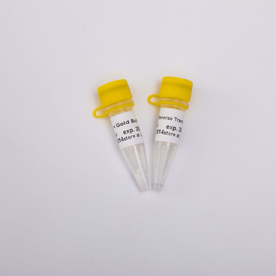 Thuốc thử PCR phiên mã ngược vàng R3001 2000U