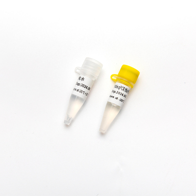 Đầu dò ghép kênh trực tiếp trộn sẵn cô đặc Thuốc thử PCR 2 × QPCR Mix Plus với UDG