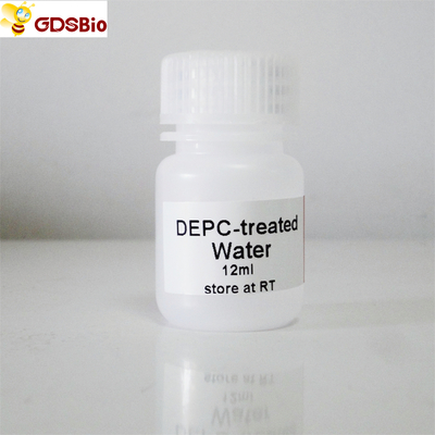 30ml Nước đã xử lý DEPC cho pCR R2041 không màu