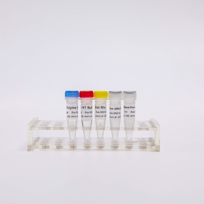 Hỗn hợp RT PCR cho thuốc thử PCR phiên mã ngược R1031 100 Rxns