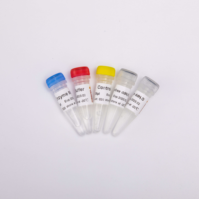 Hỗn hợp RT PCR cho thuốc thử PCR phiên mã ngược R1031 100 Rxns