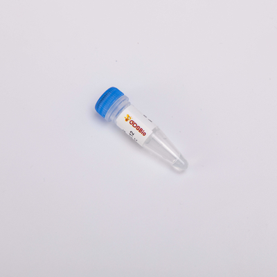 Hỗn hợp tổng thể không bền nhiệt cho PCR thời gian thực UDG Enzyme chống nhiễm bẩn hiệu quả cao