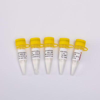 2019-NCoV-AbEN Pseudovirus 1ml Bộ tách chiết axit nucleic