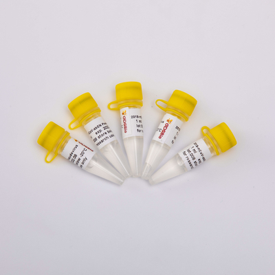 2019-NCoV-AbEN Pseudovirus 1ml Bộ tách chiết axit nucleic