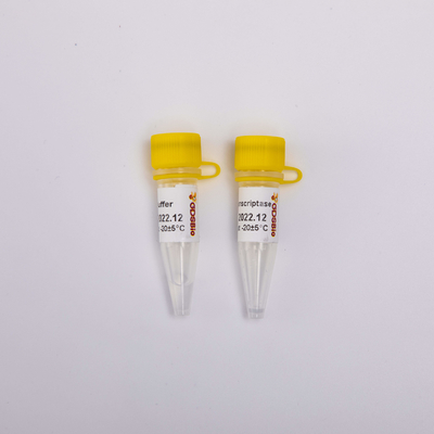 10000U Gold Reverse Transcriptase PCR R3002 Xuất hiện không màu