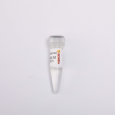 Thuốc thử PCR phiên mã ngược GDSBio 20000U Hóa chất ức chế Rnase