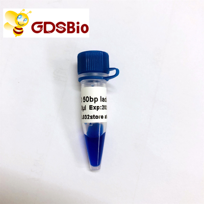 Bậc thang đánh dấu điện di trên gel DNA 50bp GDSBio