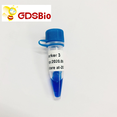 GDSBio LD Marker 3 DNA Marker Điện di 60 Preps