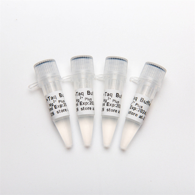 10× PCR Buffer (Mg2+ Plus) P5011 1,25ml×4