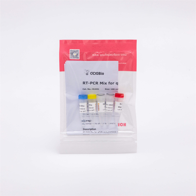 R1031 GDSBio Tổng hợp CDNA chuỗi đầu tiên Hỗn hợp RT-PCR cho QPCR Thuốc thử PCR phiên mã ngược RNA trộn sẵn