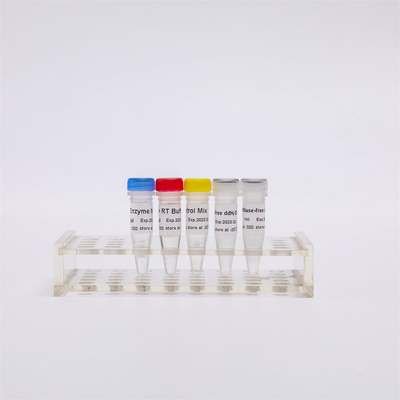 R1031 GDSBio Tổng hợp CDNA chuỗi đầu tiên Hỗn hợp RT-PCR cho QPCR Thuốc thử PCR phiên mã ngược RNA trộn sẵn