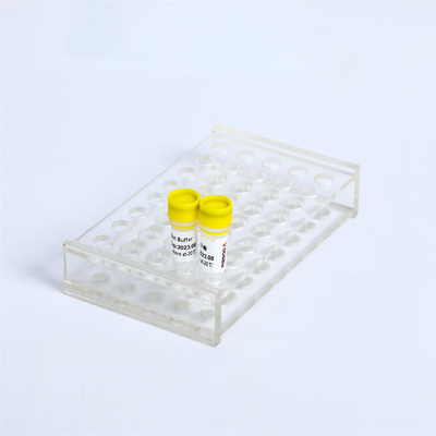 P1113 PCR Master Mix Bst DNA polymerase Exonuclease Trừ 8000 U/mL