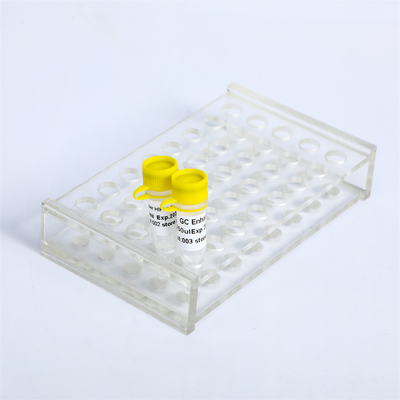 DNA Taq Polymerase Super HIFI PCR Master Mix P2111 P2112 P2113 Hiệu đính Hotstart