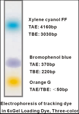 Thuốc nhuộm tải gel 6 × Bộ đệm điện di DNA ba màu EDTA 1mlx5