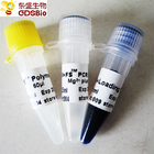 PCR QPCR FS Taq DNA Polymerase P1071 P1072 P1073 P1074
