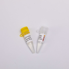 50 Rxn 2X Reverse Transcriptase PCR Reagents One Step Master Mix P1001